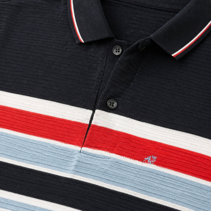 Men's Regular Fit Striped Polo T-Shirt